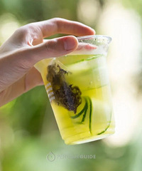 [��ʳ]16��ûʲô�����Ŀ���ˮ�䷽