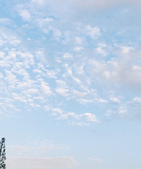 [����]���˽ɷ�290����λ��125��̨�ݹ���������ô��