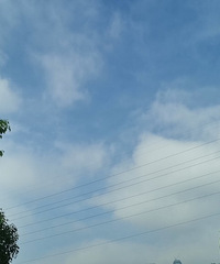 26�꽷������Ů���������ڣ�������175-180������