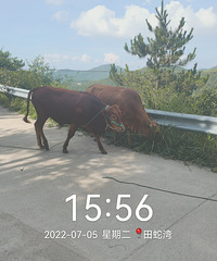 [����]������̨ɽ֮�У������¡�ʯ����������̨ɽ���ٲ�