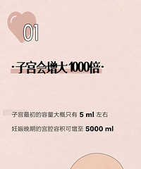 ��Щ������֪ʶ��֪����̥����С�Ϳ�ʼ����������