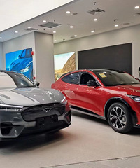 ���������ġ��糵��Ұ�����������