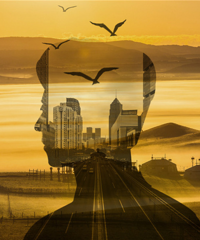 86����״��壬������ң��з��г����޴��