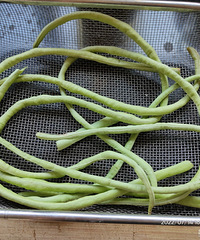 ��������������ڴ���ɹ�