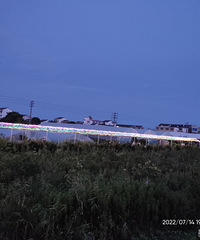 һ����ͷ�����ĵϵģ������ְ�