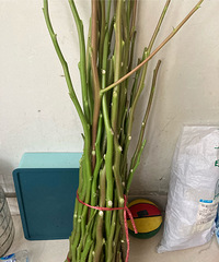 �����ϡ������Եĺö���������ʶ��