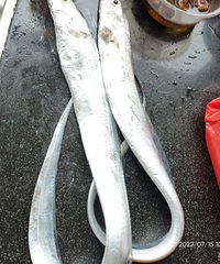 ��Ĵ��㻹�������ǲ��Ǻ�����