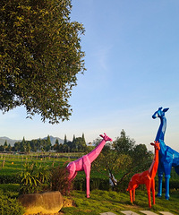 ������ͦ�������ϡ�D4�ܸ���̥���Ķ��Ǵ���