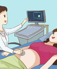 �����ڲ������Ҫ�������⼸�������Σ��֪����