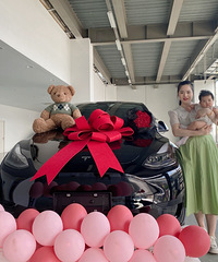 ���ͣ���˹�� model Y 2���۸�28.8��