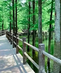 [����]���˵ġ�С��կ������������