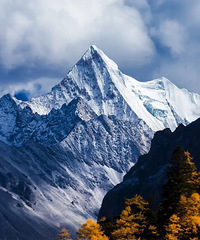 [����]����컨�塱����ֵ�������أ���������ж�����