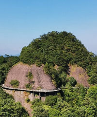 �����µ����ɾӣ���������ʵ����Ȼ����