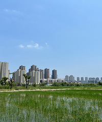 Զ�����Ǻܲ����������س�