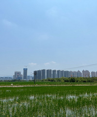 Զ�����Ǻܲ����������س�