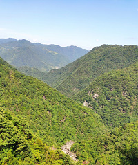 [����]�������֮�µĲԴ�����