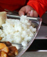 ���ڵĴ���Ϊʲô��Ҫ���ṩ��ѳ�ס��