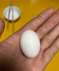 ���ӵ����Ǯһ����ô������ΪӪ������