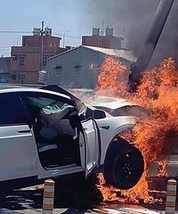 �����ų���־ӱ�Ƽݣ���˹���ͷ���Ӧ����