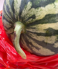 4.5Ԫһ��������Ѿ�Ȼ�ǰ�ɫ��