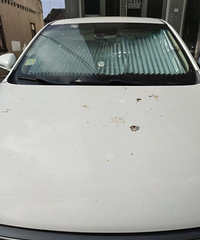 ���������ġ�����ͣ�����죬������ʺ����