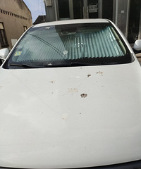 ���������ġ�����ͣ�����죬������ʺ����