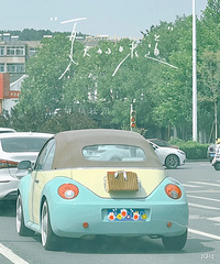 ���������ġ�·��һֻ���������С�ɰ�