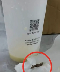 ֪���̲豻�غȳ��ڻ���������ɹ��ȫ���̼��