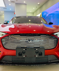 ������ʵ�ġ����硰Ұ������Ұ��ʵ�ĸ���Mustang Mach-E