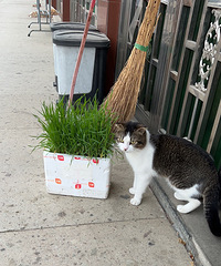 è�����ˣ��������