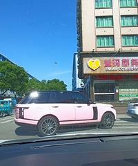 ���������ġ��ߴ����͵���ʤ��ɷ�ɫ���б�������