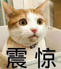 �ϰ��̡��ƻ�����������������Ǯ������ȴ�������á�����