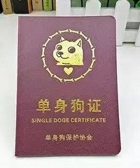 ���б�Ů�˼ұ���������������������