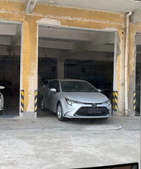 ����ʲô��ɫ�õ�