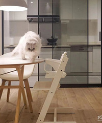 �Ҹ��з���������6���ҾӺ�����������