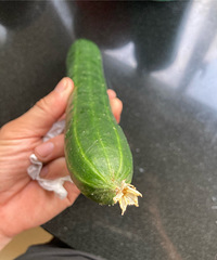 ���´����ʻ���Ļƹϲ����򣿶��Ǽٵ�