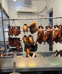 ��������ʳ�ֲݡ���̽���ó�֮�żǱ���