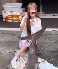 ����Բ��ı�Σ����裬��Դ������