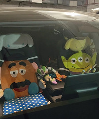 ���������ġ���Щװ�ε�Ҳ̫�ɰ��˰ɣ�