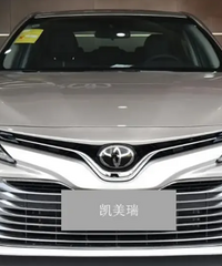 17��ĳ�������������ʽ���Ա�20��Ŀ�������Ÿ�