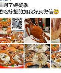 ���������Ȧ�е��з��