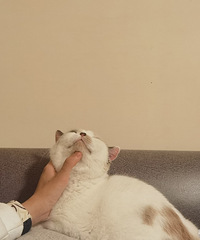 [����]Ԥ��260�򲻿���ѧ������·�Ż���ѡ����