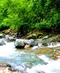 [����]���ձ�������ܻ���