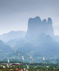 [����]8����ȫ������Σ�