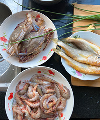 ʹ���ײʹ�Ҷ���������