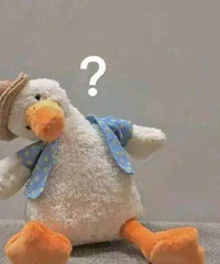 �������ǿ����˶���