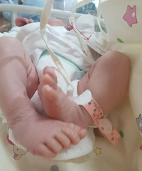 ����������ʲô������˳�������е���ʹ��