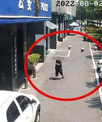 500�򣡺�����������Ǯ�߽��ɳ�������������