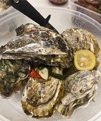 ���Ļ���ͦ�����ģ�֥ʿ���������ϵ�ó�