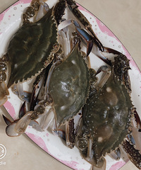 ���Ի���̨��no67������з������